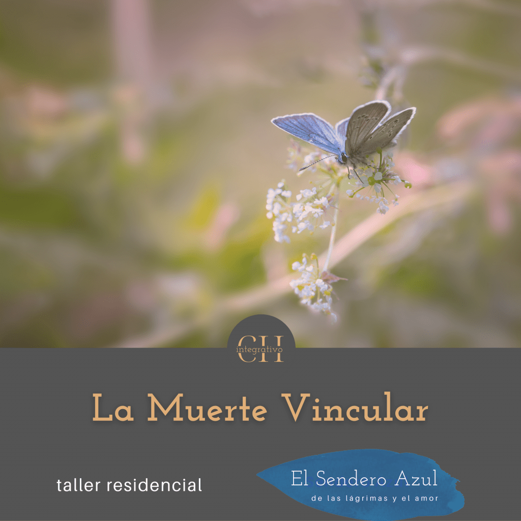 Taller La Muerte Vincular - el dolor en las organizaciones