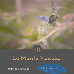 Taller La Muerte Vincular - La muerte vincular son los cambios permanentes en la realidad